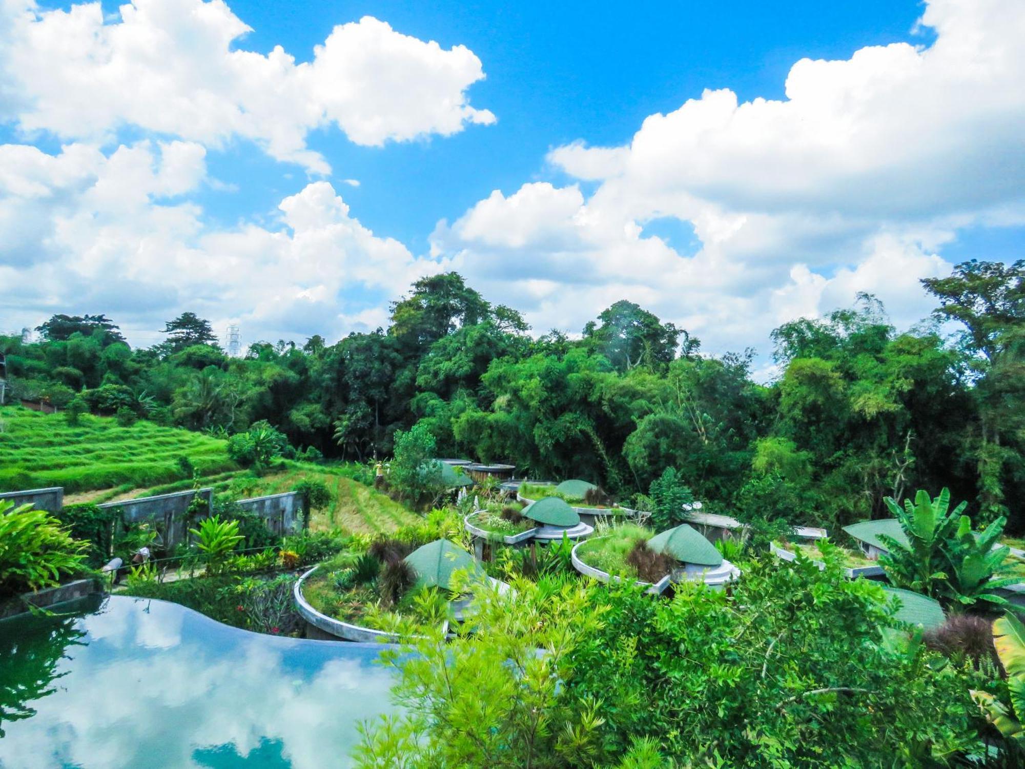 De Moksha Eco Friendly Boutique Resort Tanah Lot  Room photo