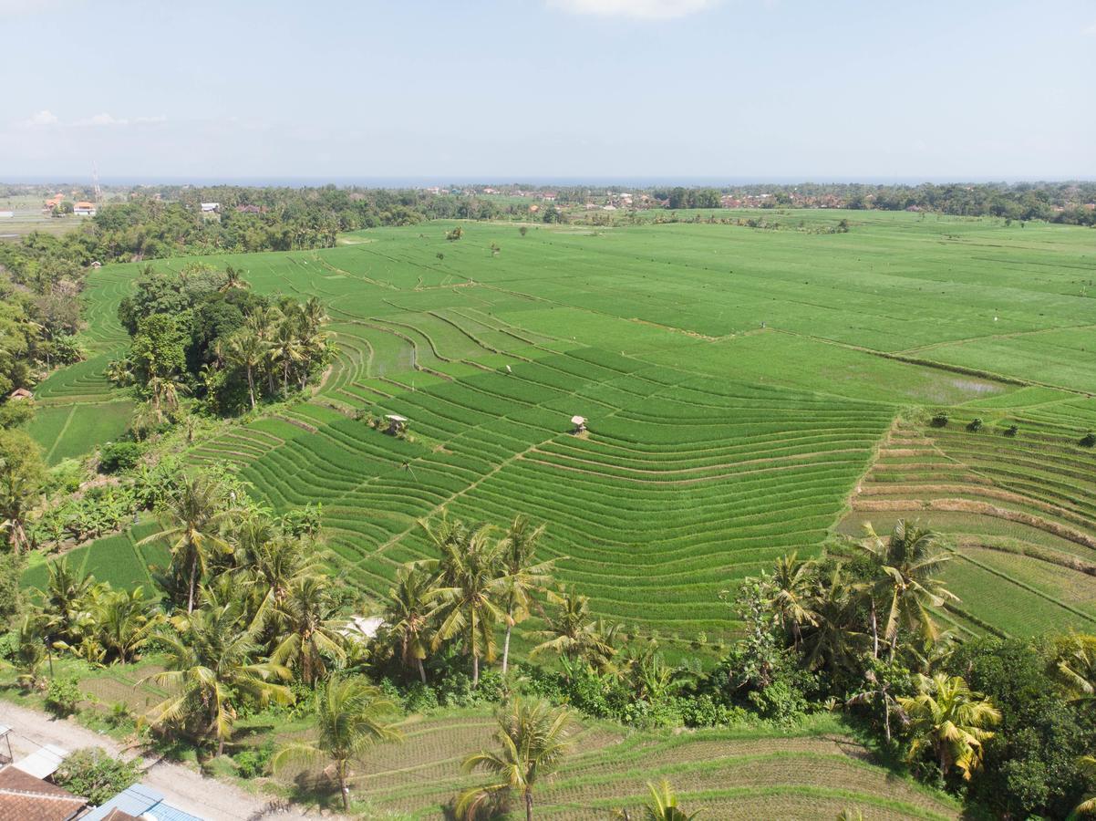 De Moksha Eco Friendly Boutique Resort Tanah Lot  Exterior photo