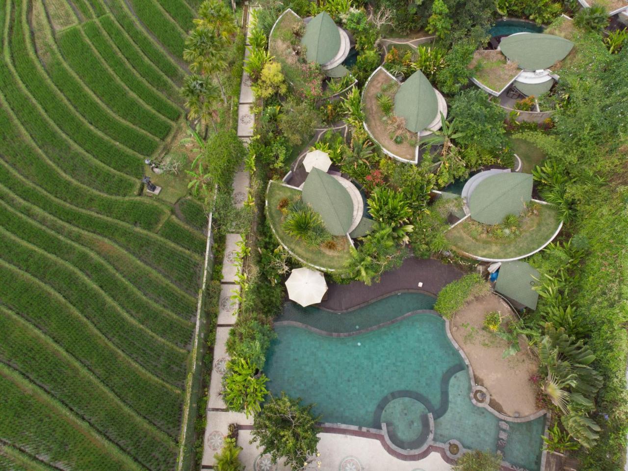 De Moksha Eco Friendly Boutique Resort Tanah Lot  Exterior photo